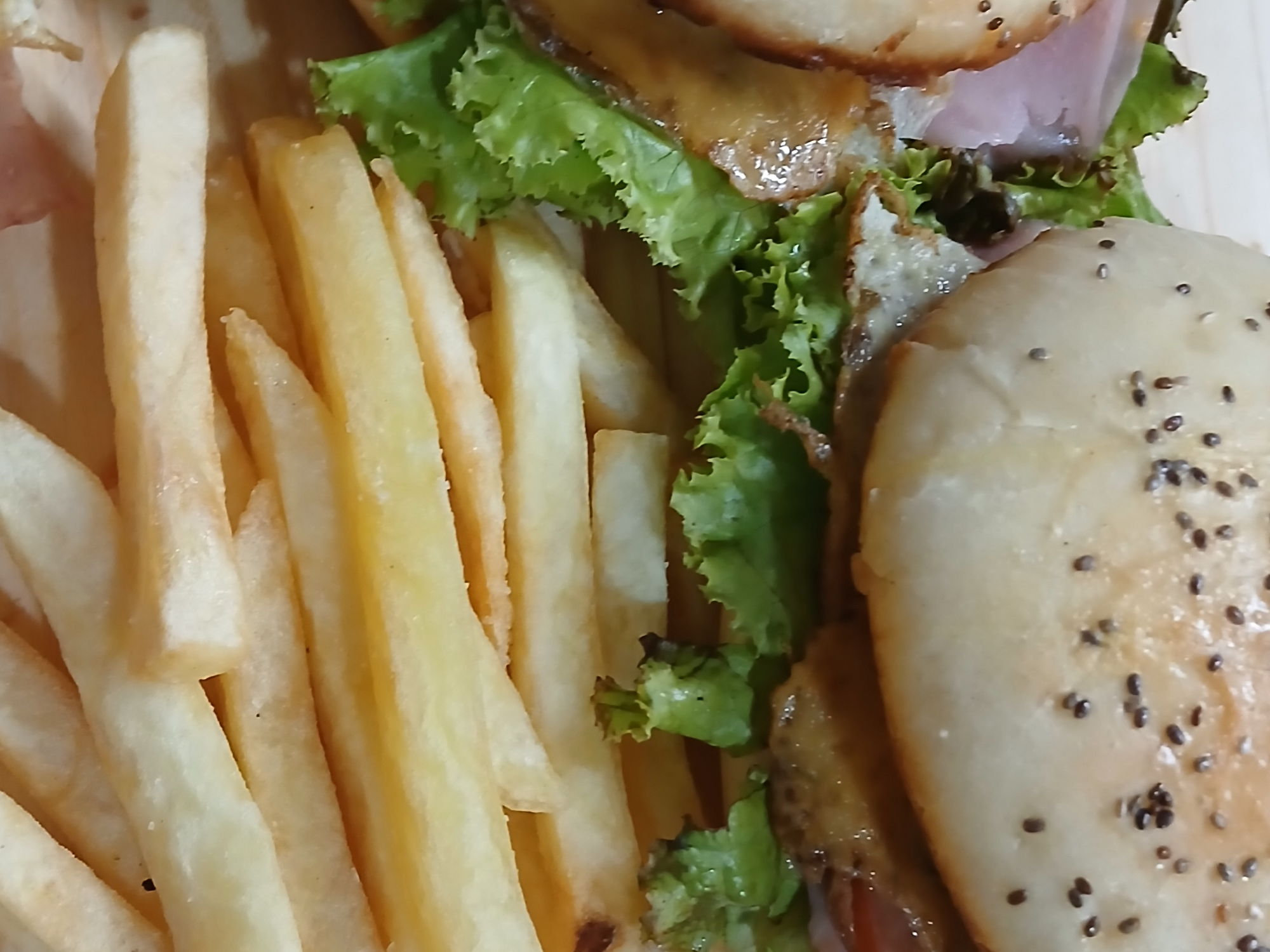 Hamburguesa comun ( con fritas )