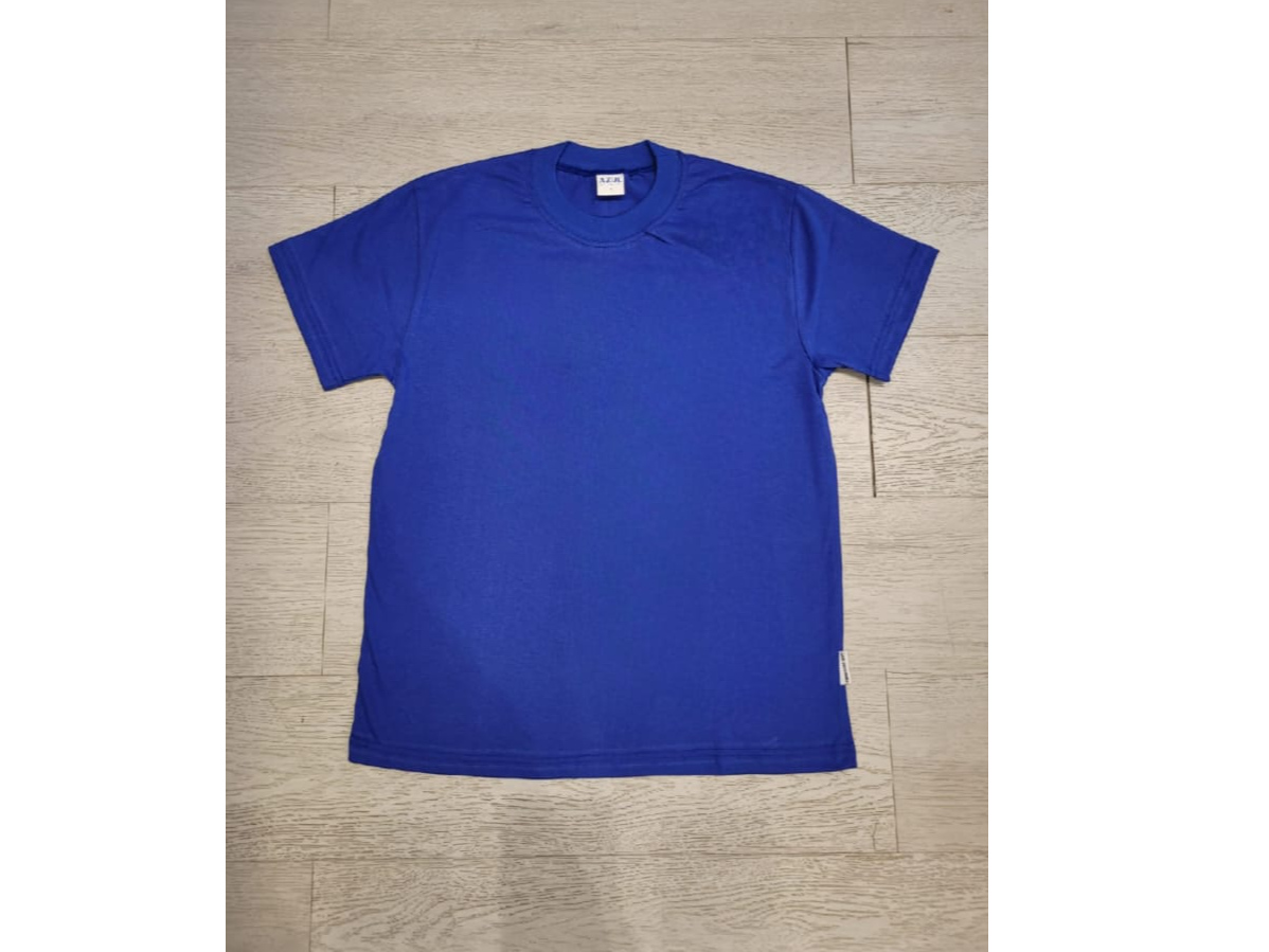 ART 901 - F REMERA AZUL FRANCIA