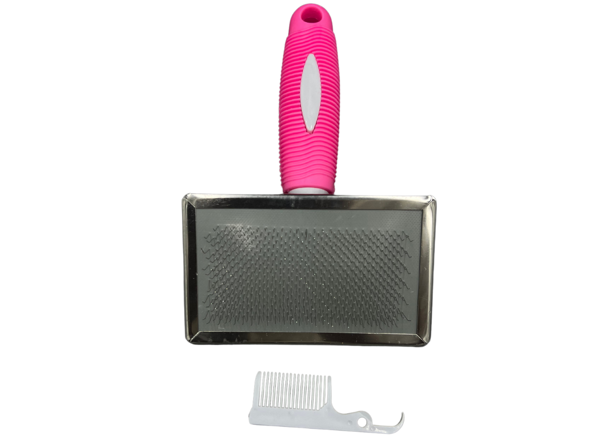 CARDA IMPORTACION ECO