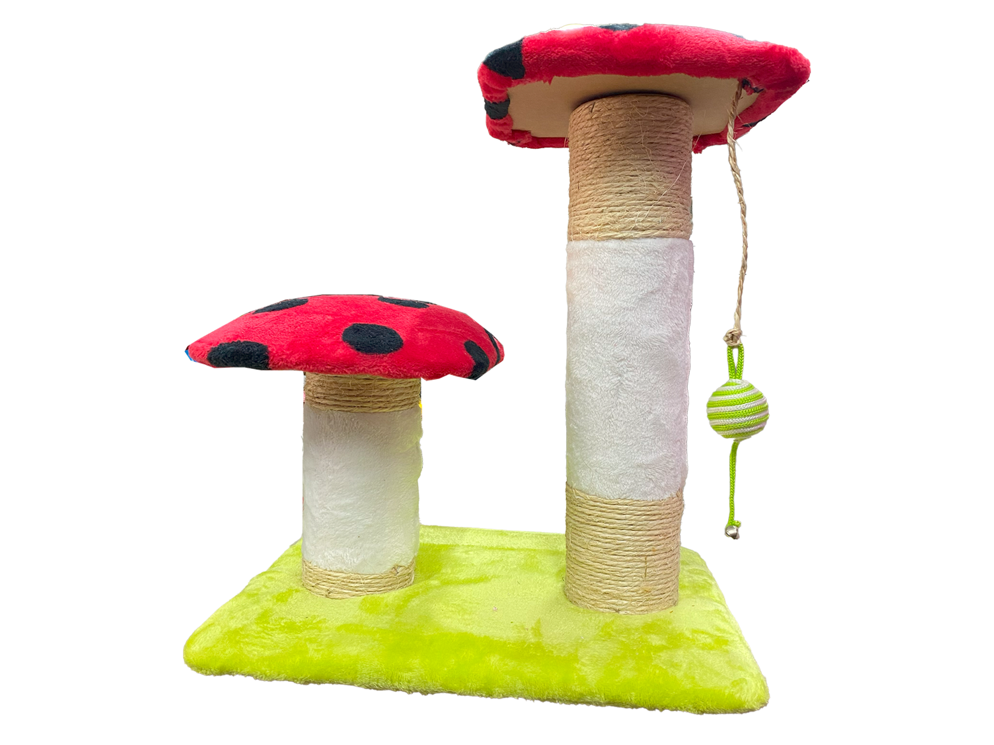 RASCADERO DE HONGO RASC05