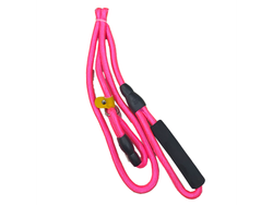 CORREA CON COLLAR DE CASTIGO O PARA ESTETICA