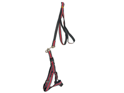 ARNES CON CORREA REFLEJANTES