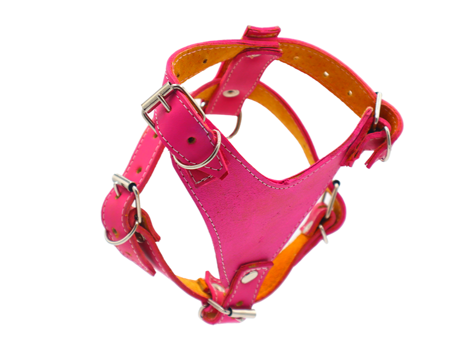 PECHERA DE PIEL DE COLORES