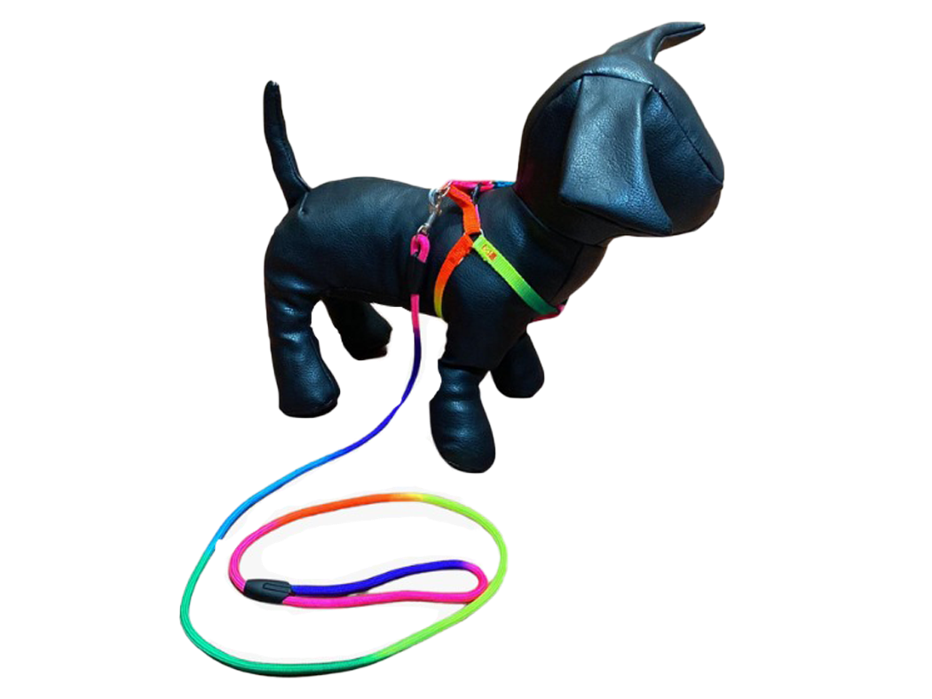 ARNES CON CORREA ARCOIRES CH - PAAC01