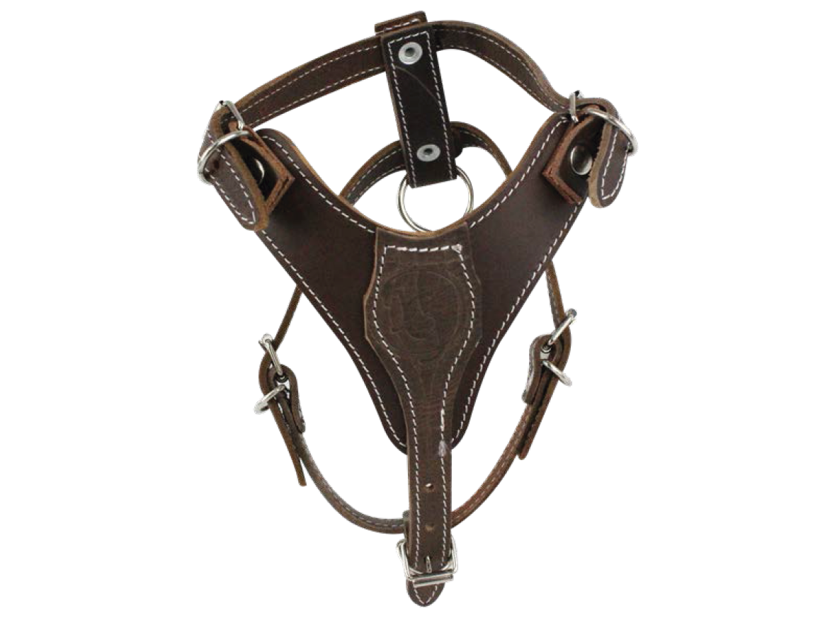 PECHERA DE PIEL JUEGO 6 PZ