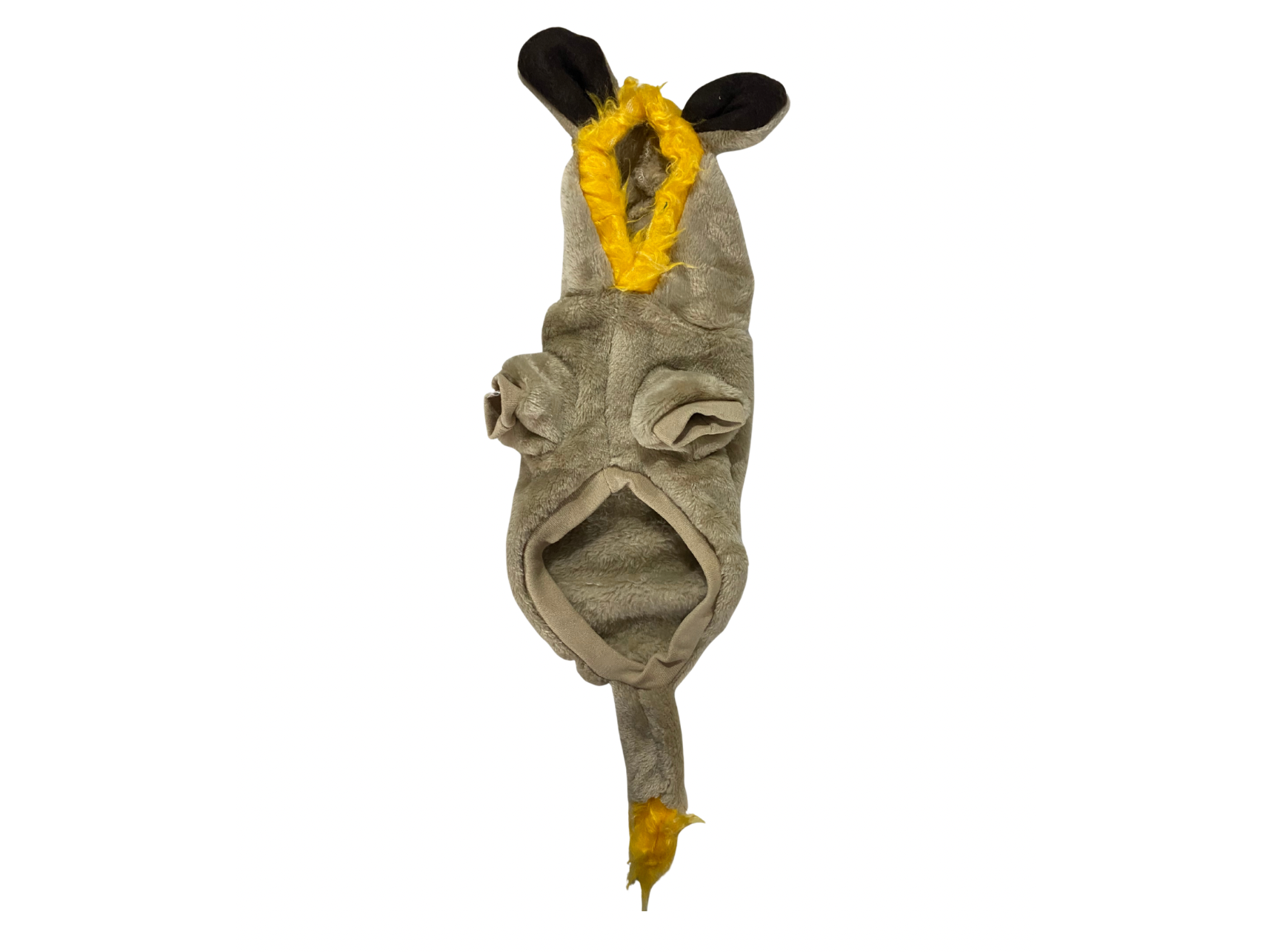 CORRIDA SUETER DE LEÓN