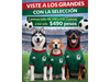 Playera Seleccion Mexicana tallas grandes #8 #10 #12 (Corrida 3 pz)