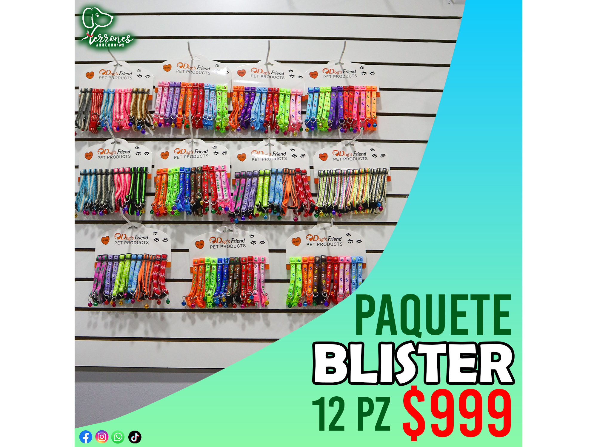 PAQUETE COLLARES - 12 BLISTER CON 12 PZ CADA UNO EN TOTAL 144 COLLARES