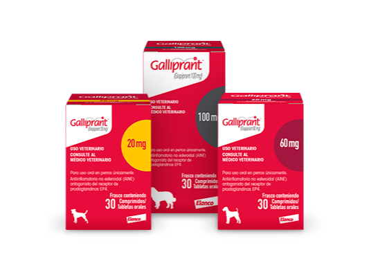 Galliprant 30 tabletas