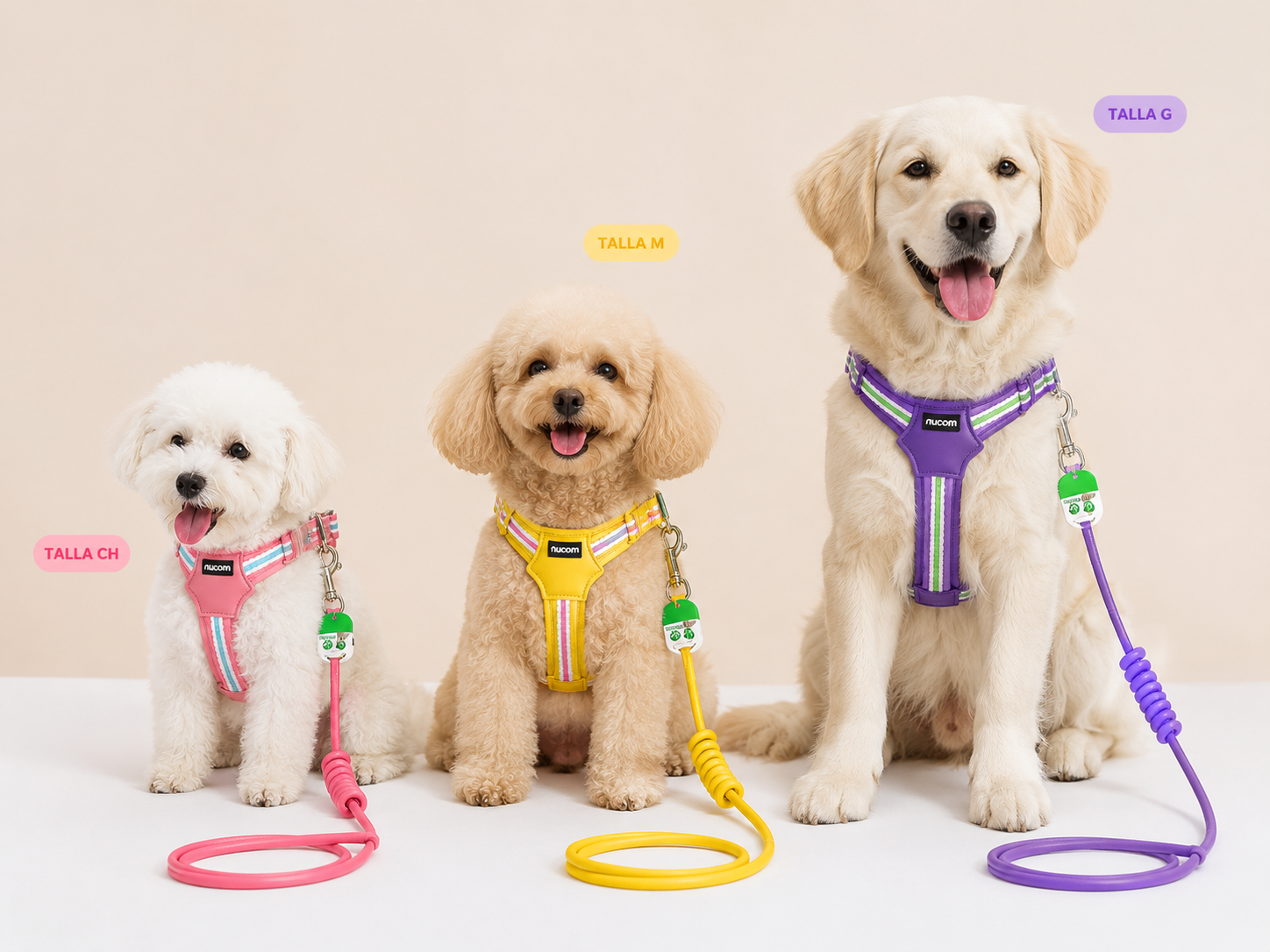 ARNES C/CORREA PARA PERRO EN FORMA Y