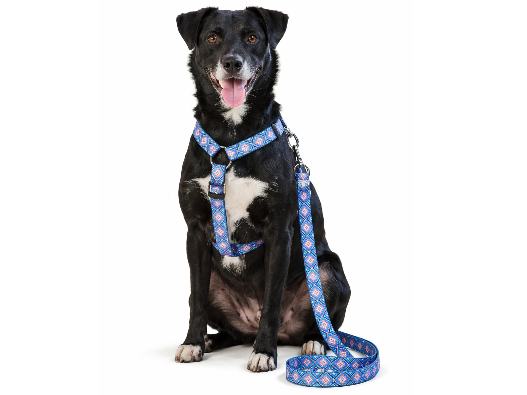 ARNES CON CORREA ESTILO HUICHOL