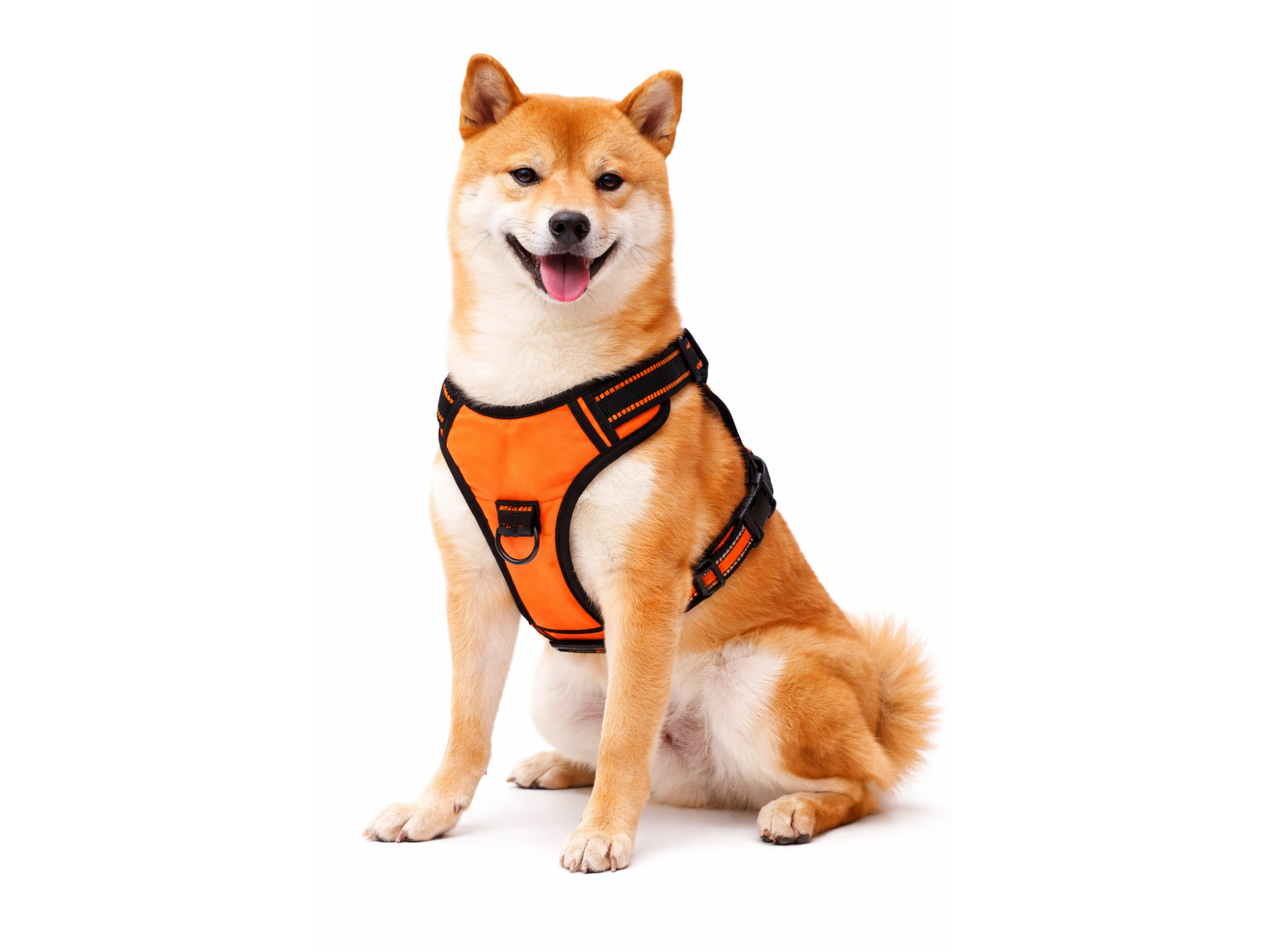 ARNÉS DE MALLA TRANSPIRABLE GRANDE - 27702