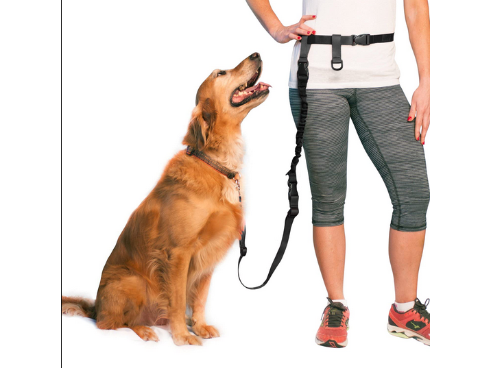 CORREA PARA PERRO PARA CORRER MANOS LIBRES 27705