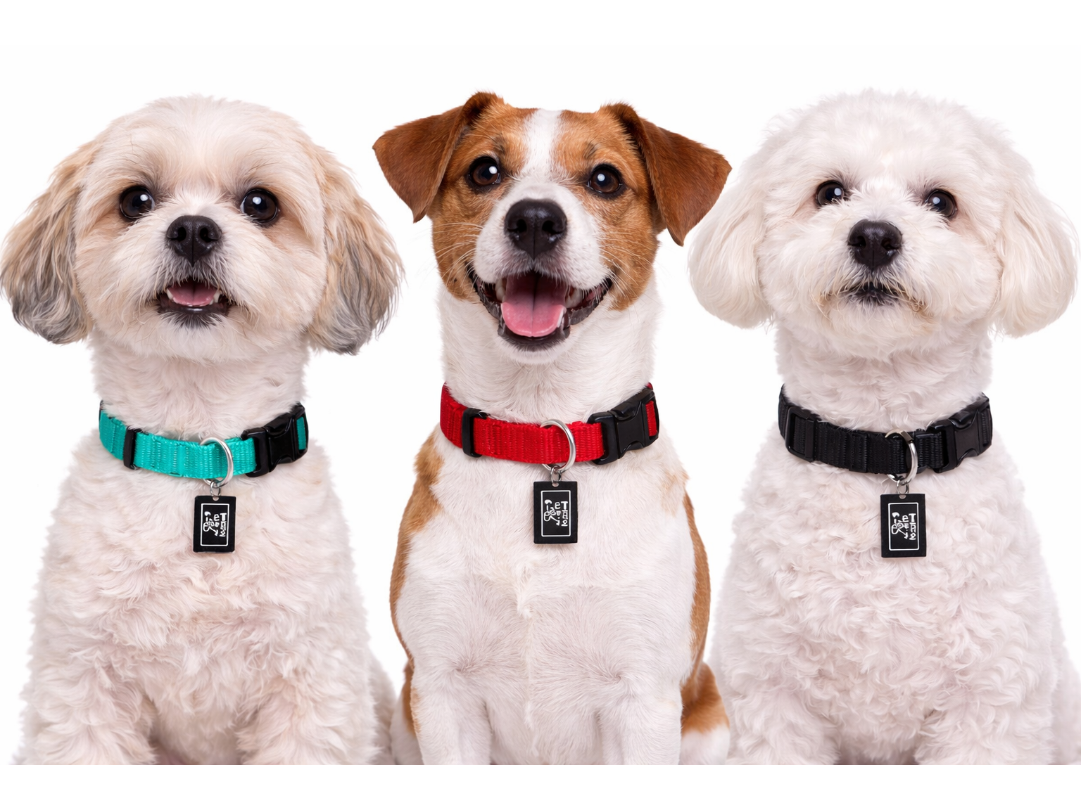 Perrones Accesorios | COLLAR IND NUNBELL S-M - 21901 10787