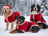 ABRIGO SANTA CLAUS XL