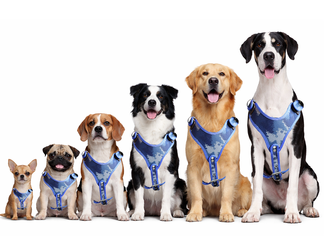 PECHERA DE NYLON CON RIBETE AL TONO 5PZ JUEGO