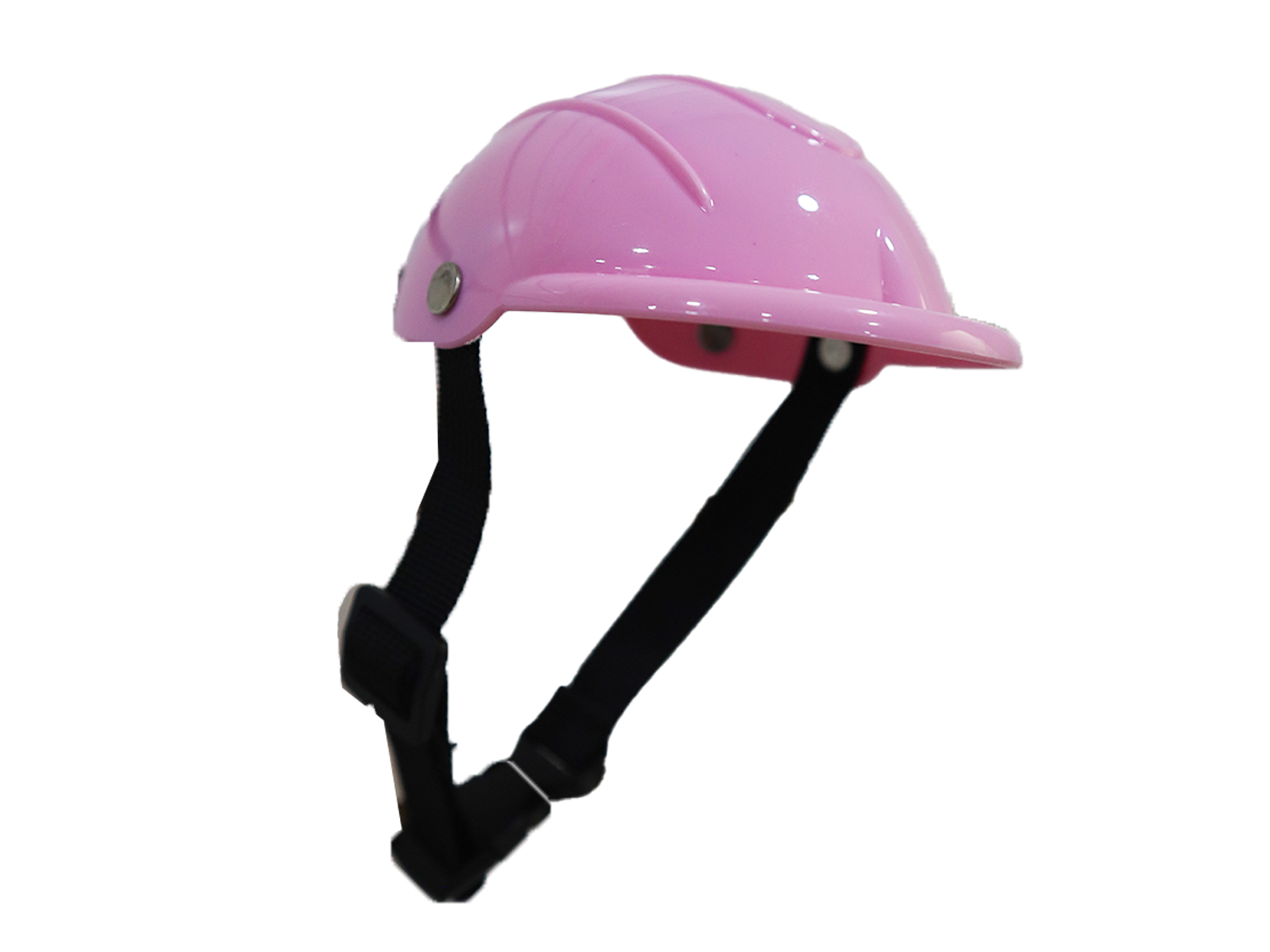 CASCO DE SEGURIDAD PARA PERRO Y GATO 1725