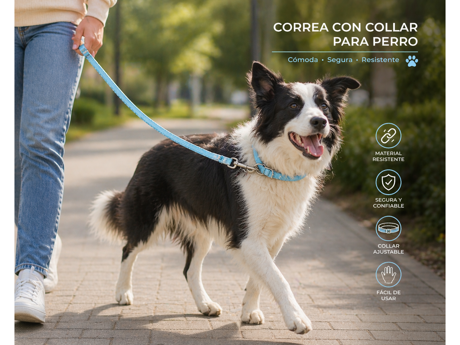 COLLAR CON CORREA DE ALTA SEGURIDAD GRANDE 24327