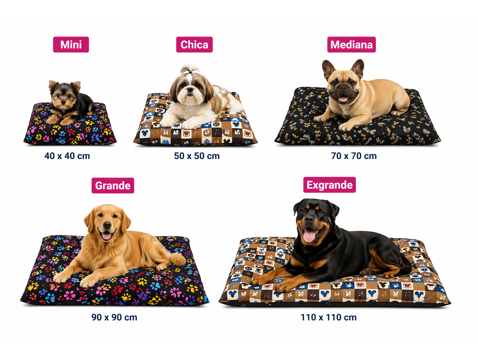 Tapete peluche 5 pz (Mini-Chico-Mediana-Grande-EXGrande)
