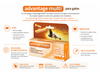 Advantage multi cat , Desparacitante interno y externo