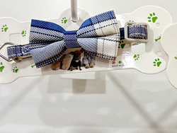 COLLAR MOÑO PARA GATO/PERRO CH. -22846