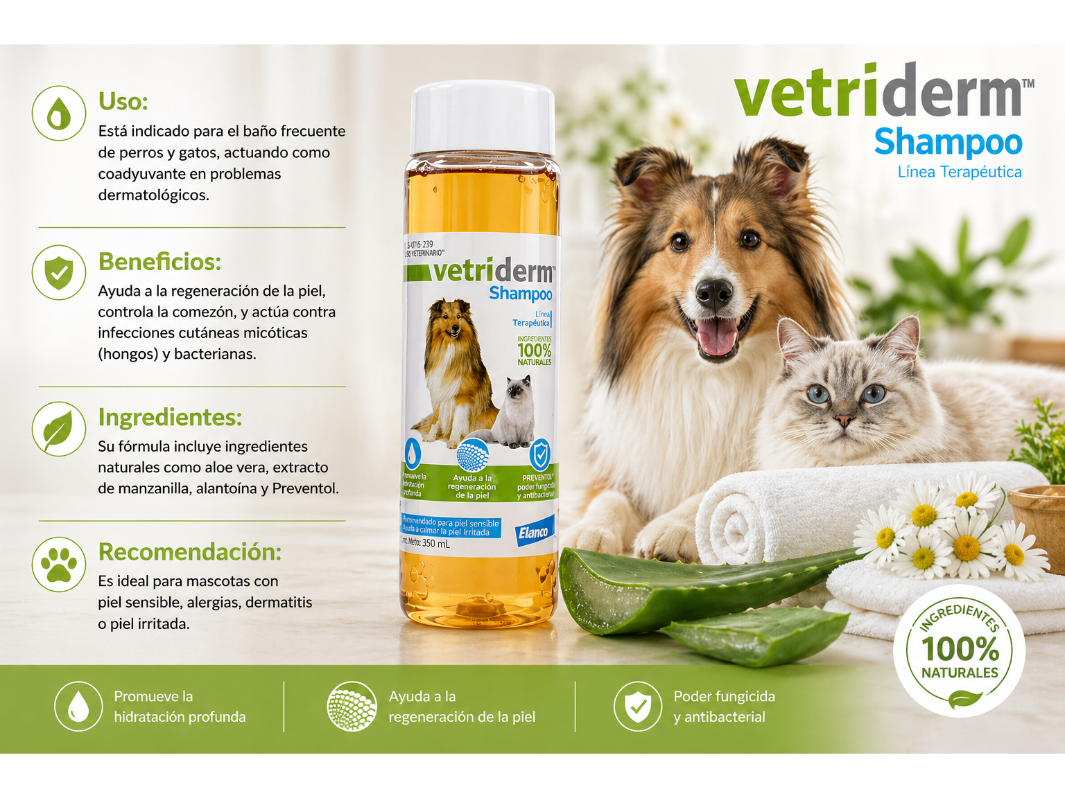 Vetriderm Shampoo Therapeutic 350 ml
