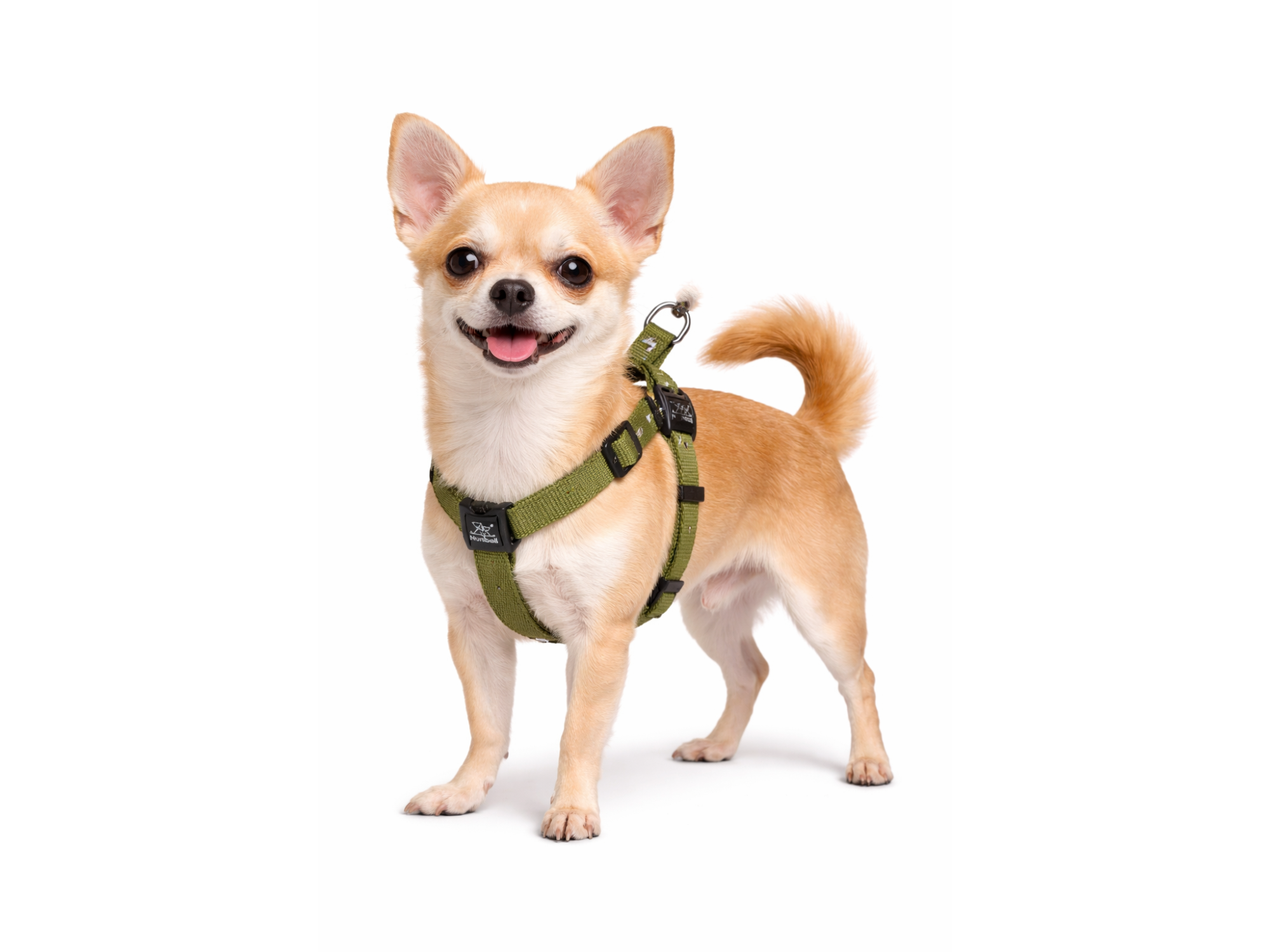 ARNES DE NYLON SIN CORREA