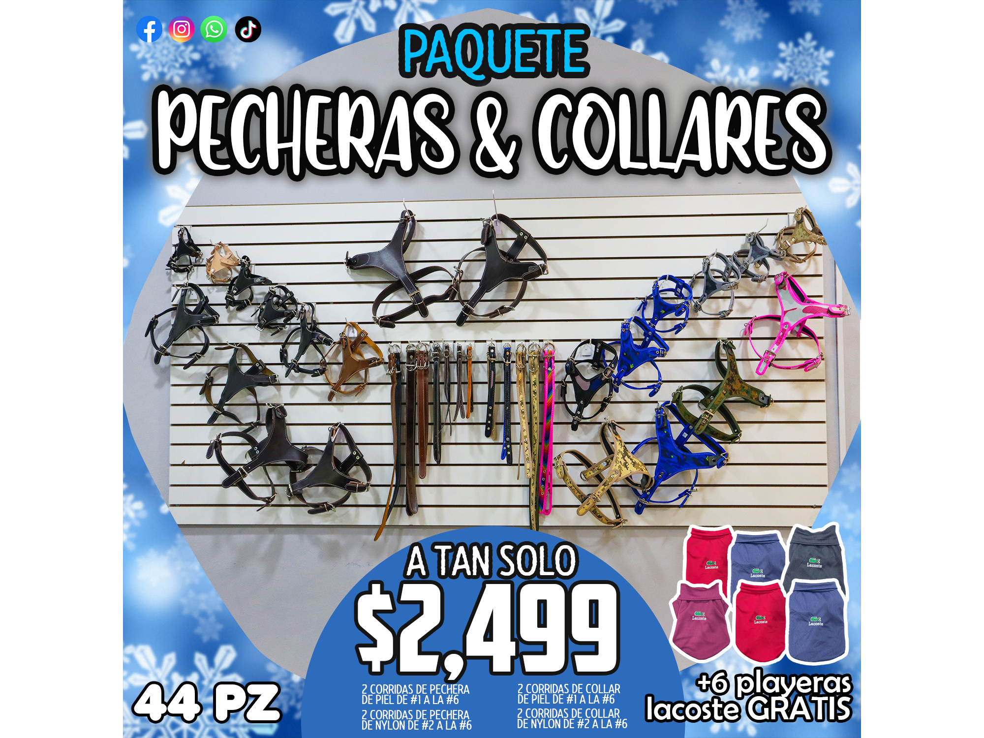 PAQUETE DE PECHERAS Y COLLARES - 44 PZ + 6 PLAYERAS LACOSTE GRATIS