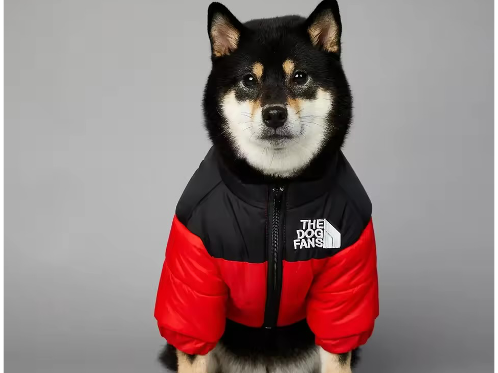 Chamarra THE DOG FACE - 5 pz