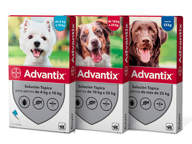 Advantix pipeta para perros