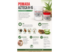 POMADA AZTECA