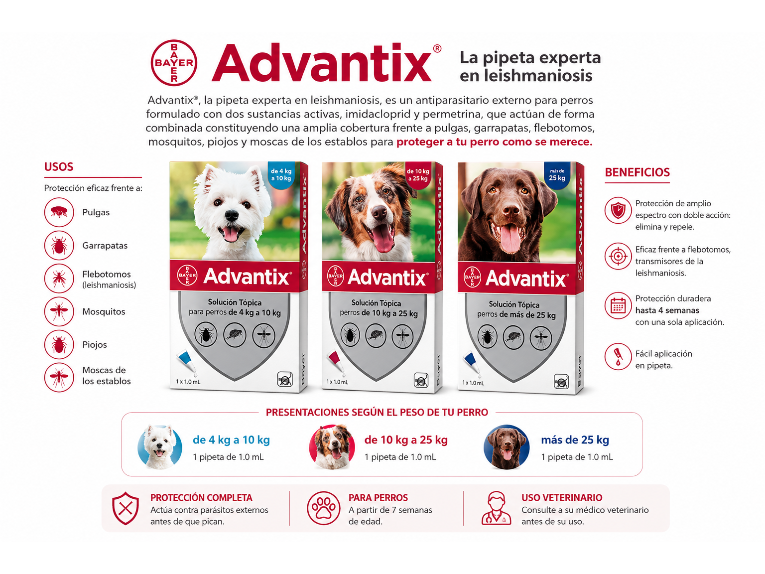 Advantix pipeta para perros
