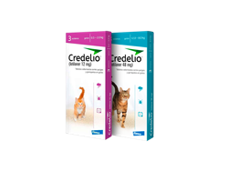 Credelio Gato 3 tabletas