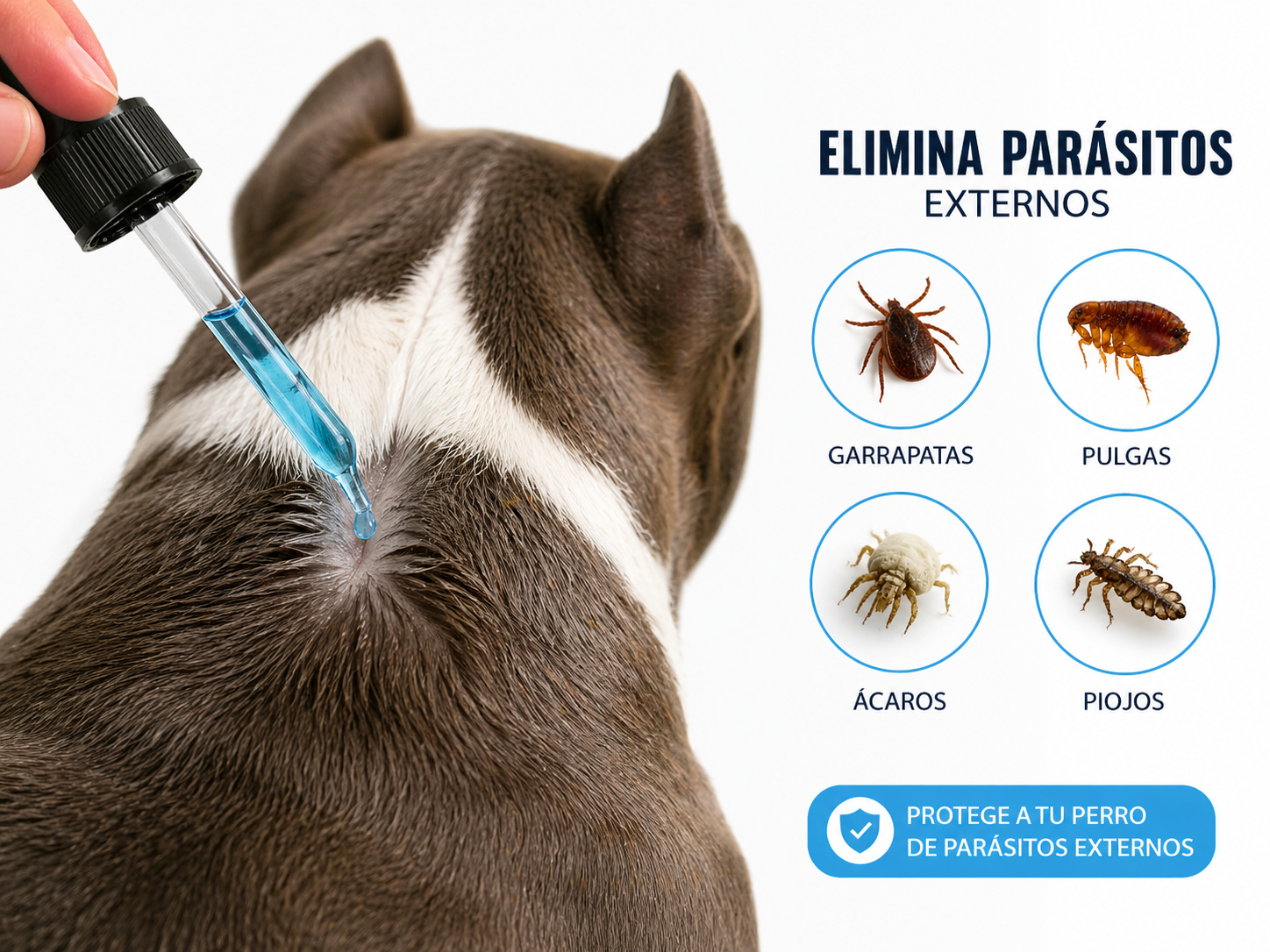 GOTAS ANTIPULGAS GOLEAT (FIPRONIL) PGANTP01