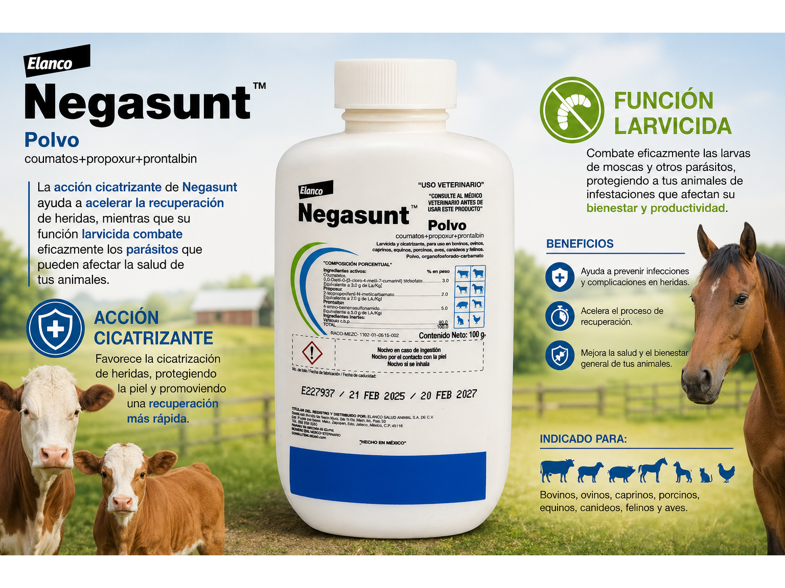 Negasunt 100gr. polvo