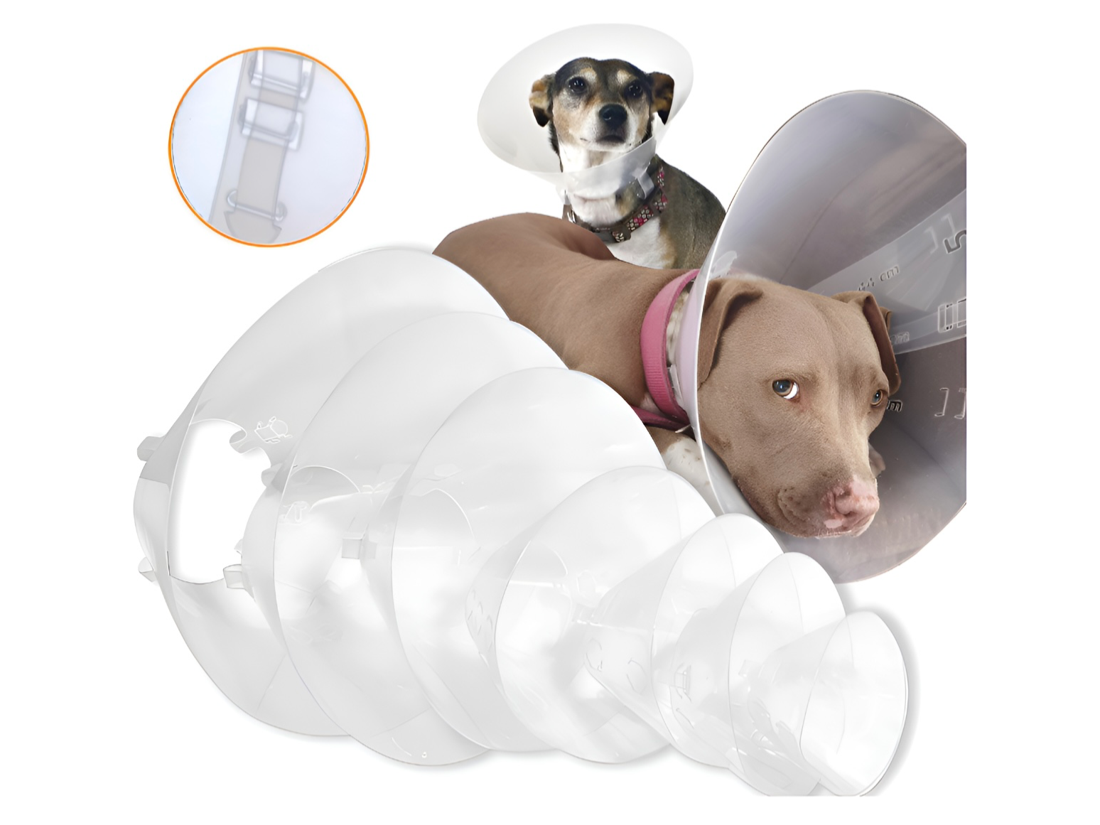 Collares Isabelinos 7 pz nacional