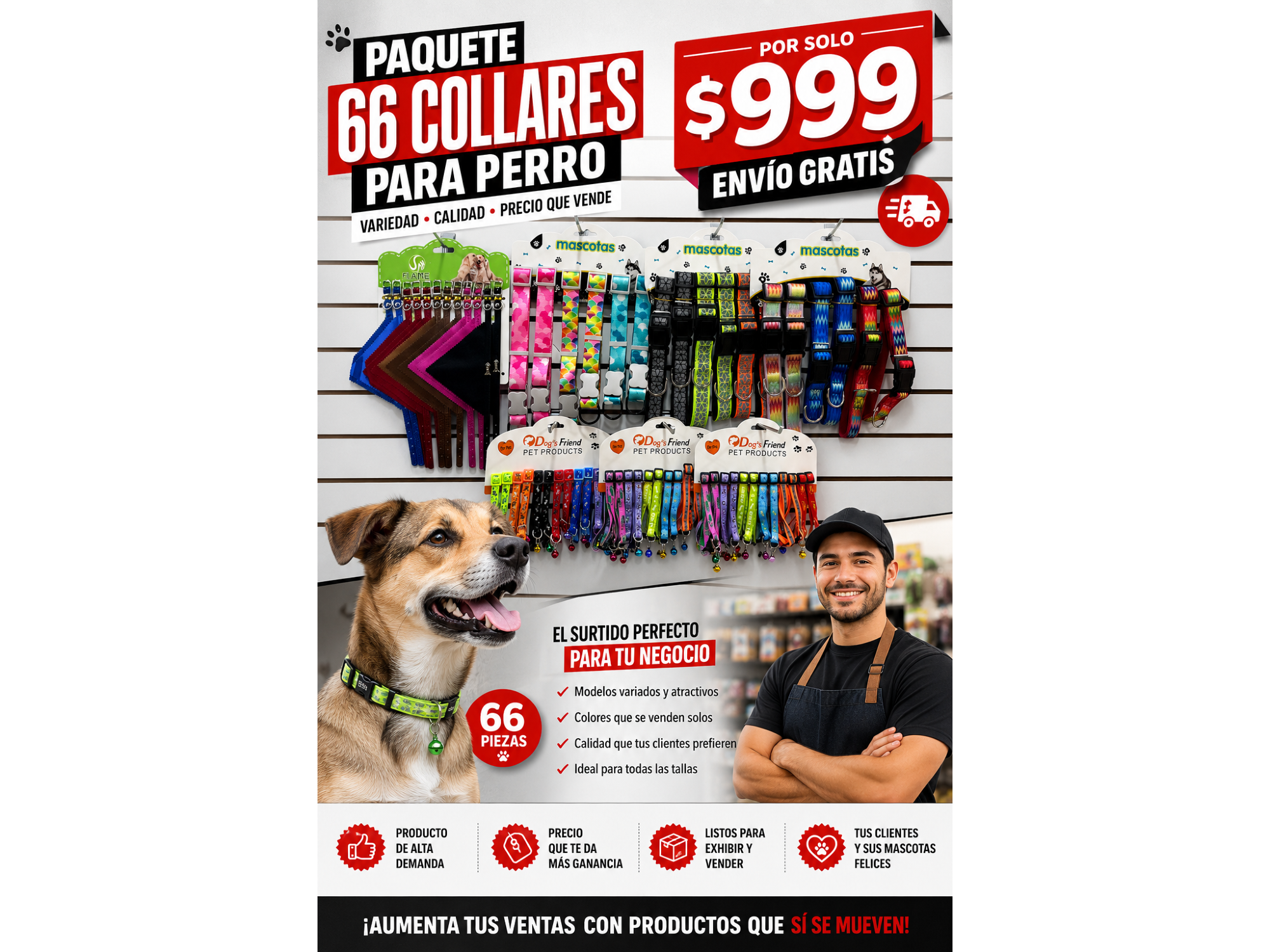 PAQUETE COLLARES 66PZ