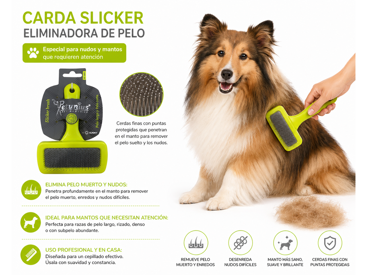 CARDA PARA PERRO SUNNY MED SDB02