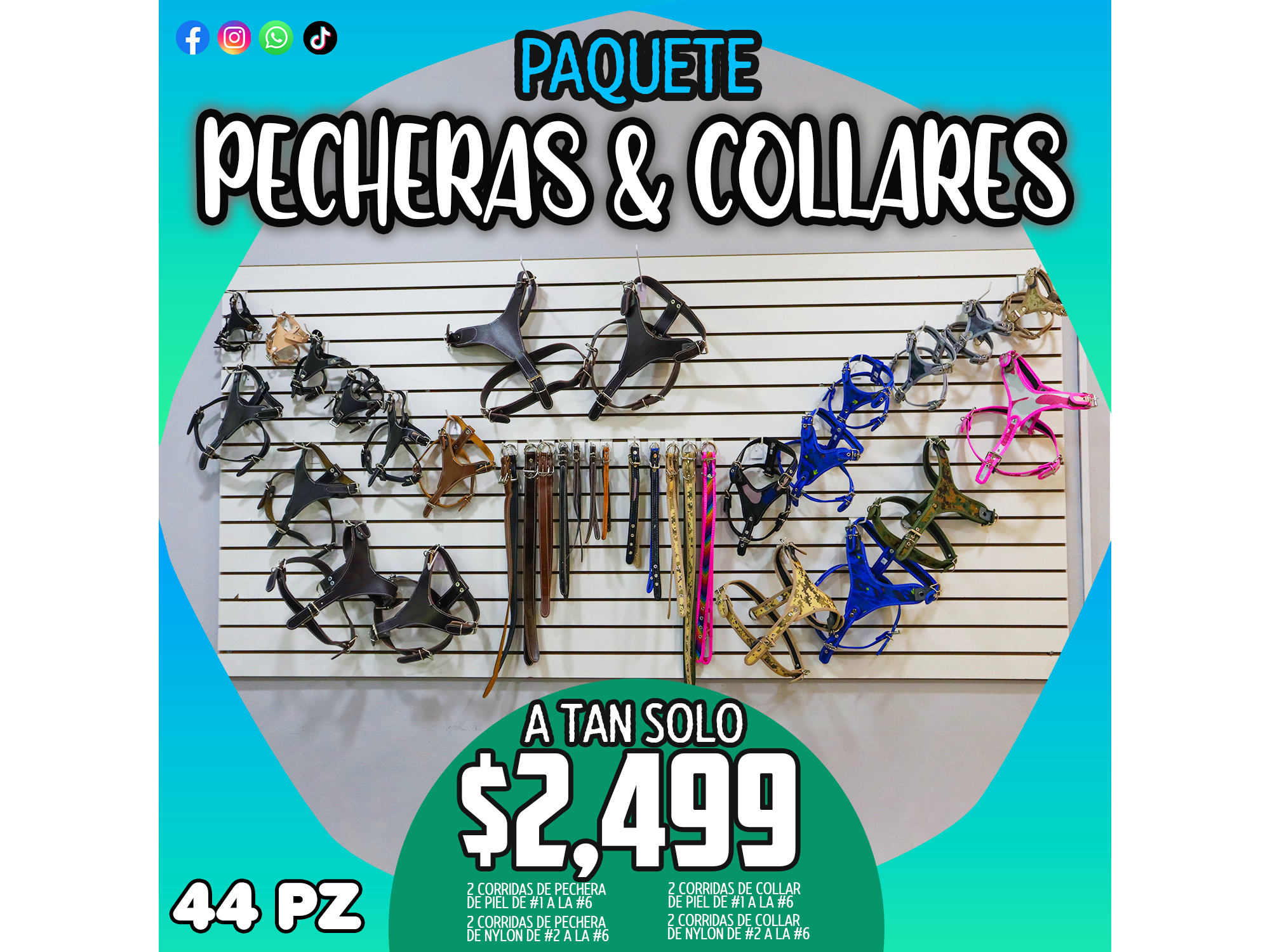 PAQUETE DE PECHERAS Y COLLARES - 44 PZ