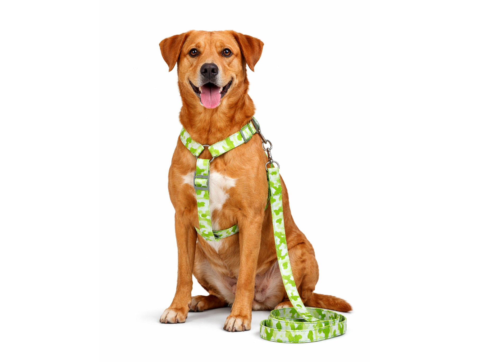 ARNES CON CORREA CAMUFLAJE