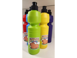 10 BOTELLAS PERSONALIZADAS