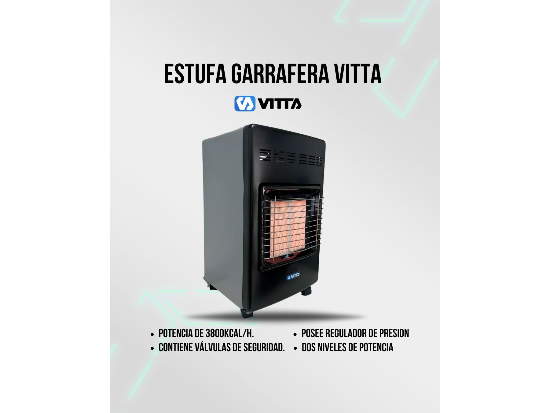 Garraferas vitta