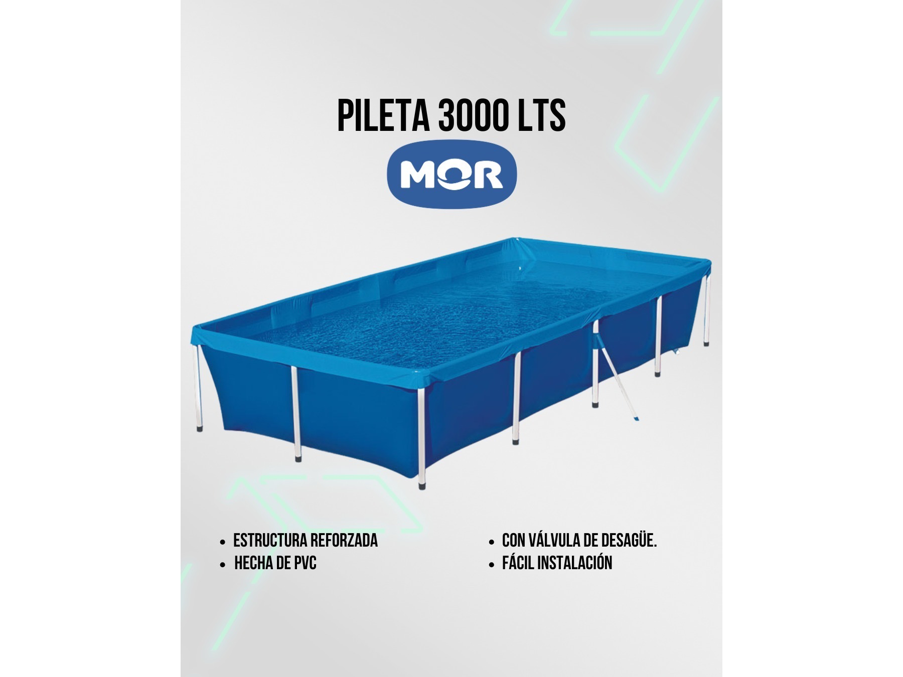 Pileta 3000L