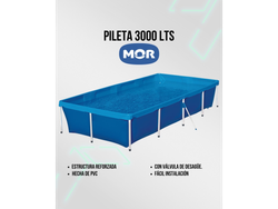 Pileta 3000L