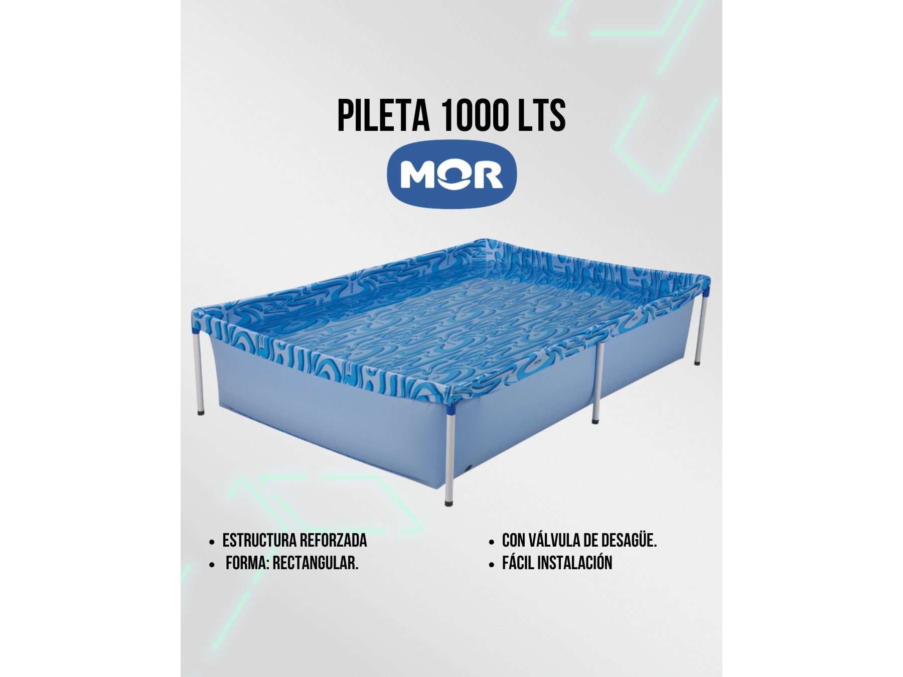 Pileta 1000L