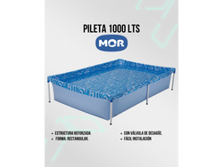 Pileta 1000L