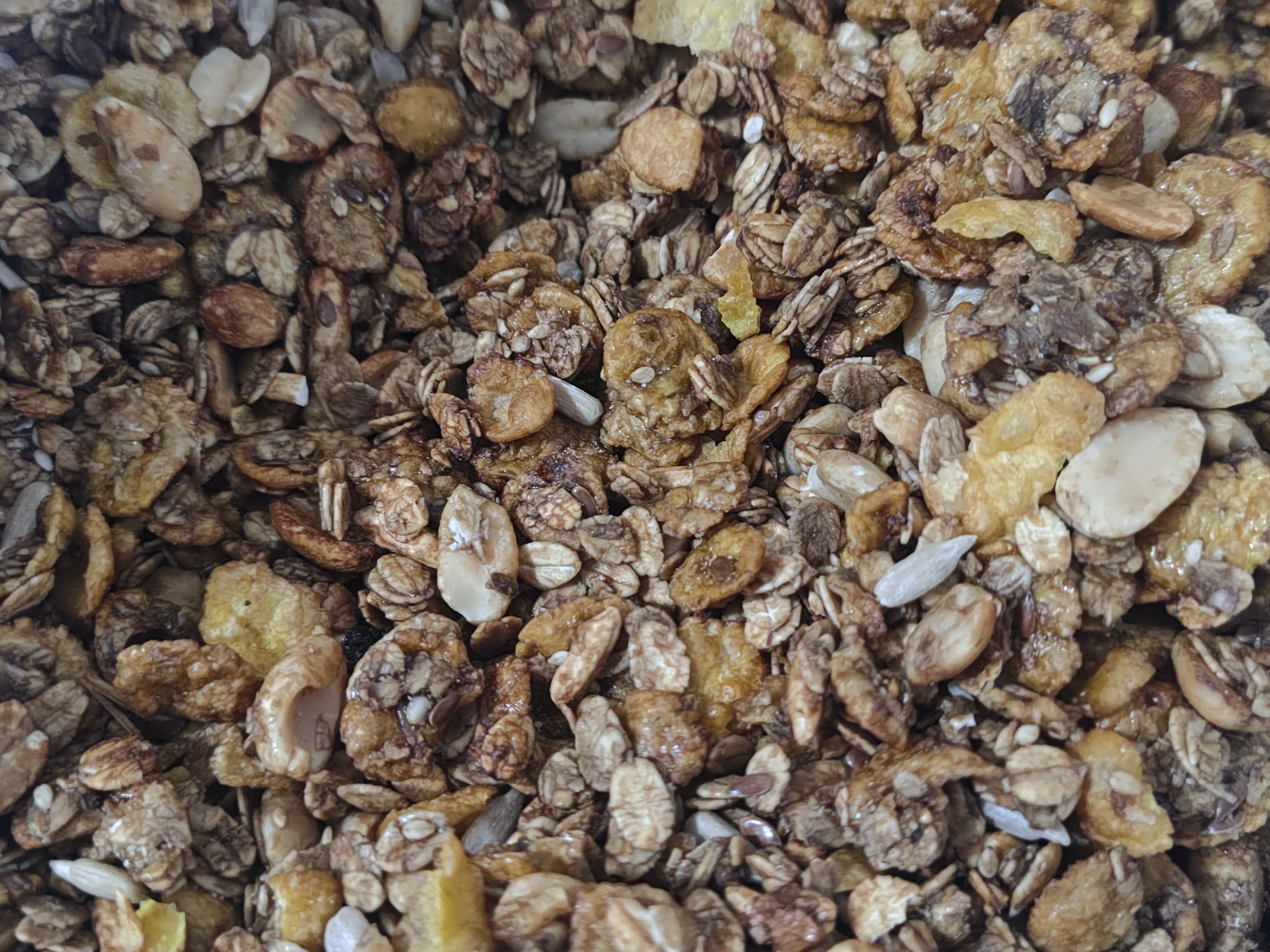 Granola - PROTEICA