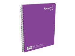 Cuaderno Espiral de 100 Hojas Francés Cuadro Grande Rayter