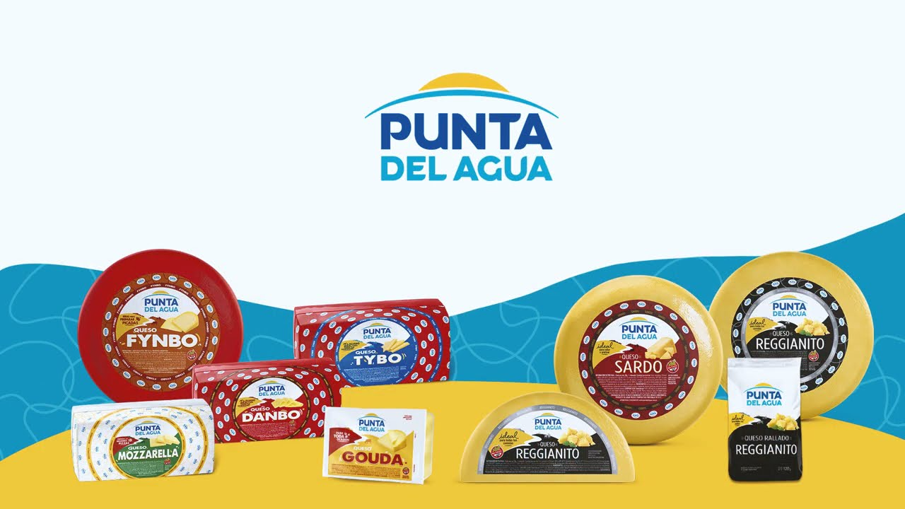 LACTEOS PUNTA DE AGUA