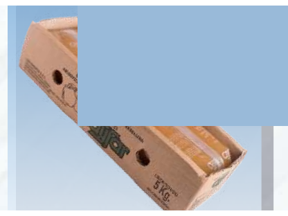 Cajon Batata Cayfar